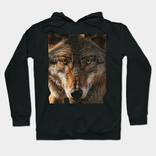 Wolf Moonlit Mysteries Hoodie